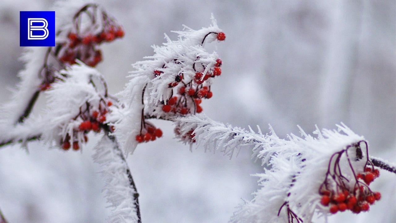 В Мурманской области ночью с 26 на 27 марта ожидается похолодание